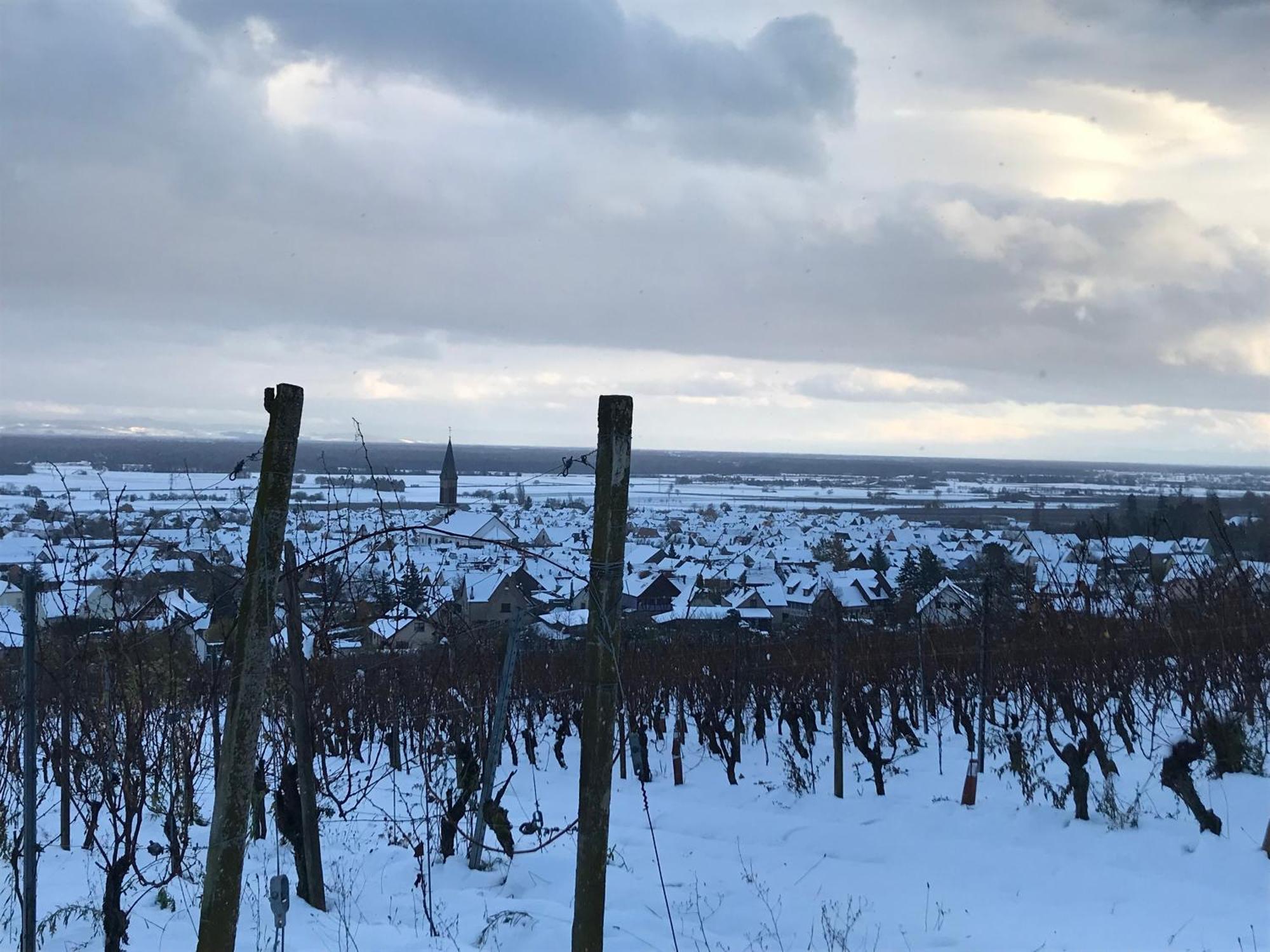 Apartmán Le Logis Du Vignoble Kintzheim Exteriér fotografie